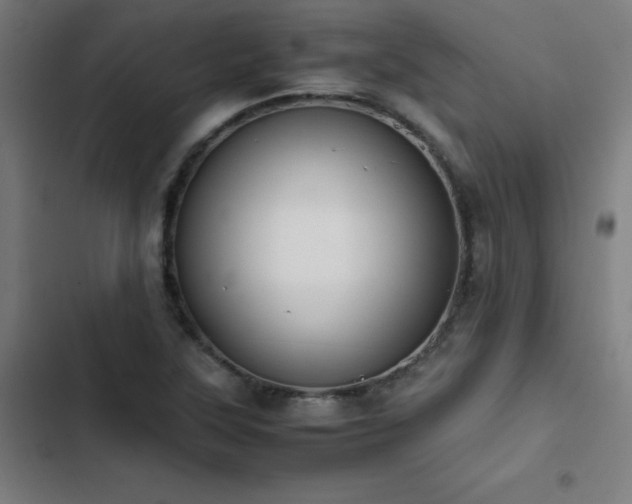 X0000103411315200809121256