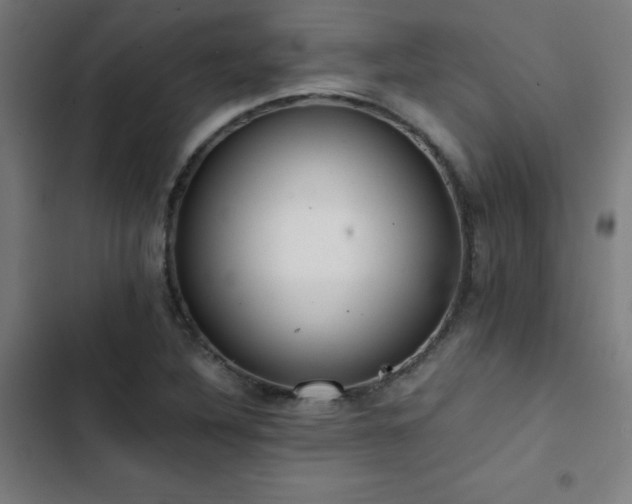X0000103411316200809121256