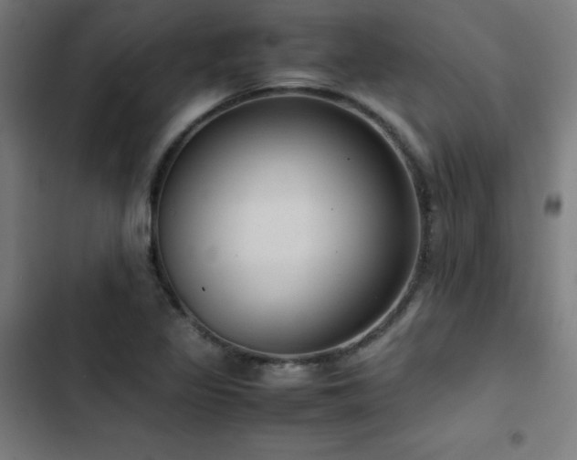 X0000103411317200809121256