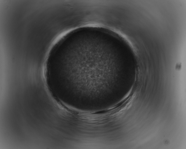 X0000103411319200809121256