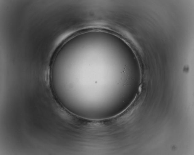 X0000103411320200809121256