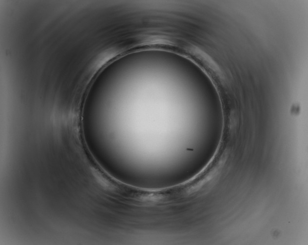 X0000103411321200809121256