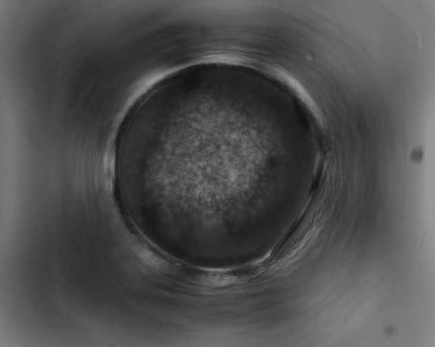 X0000103411323200809121256