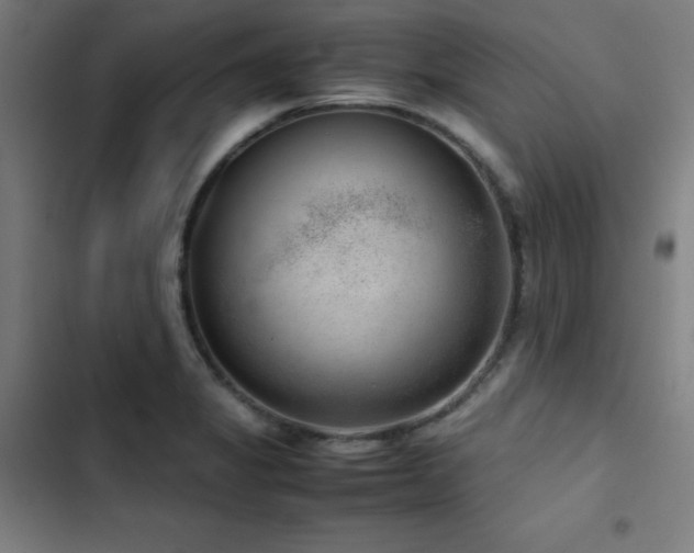 X0000103411325200809121256