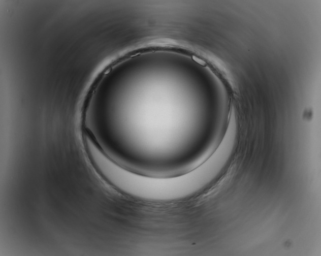 X0000103411326200809121256