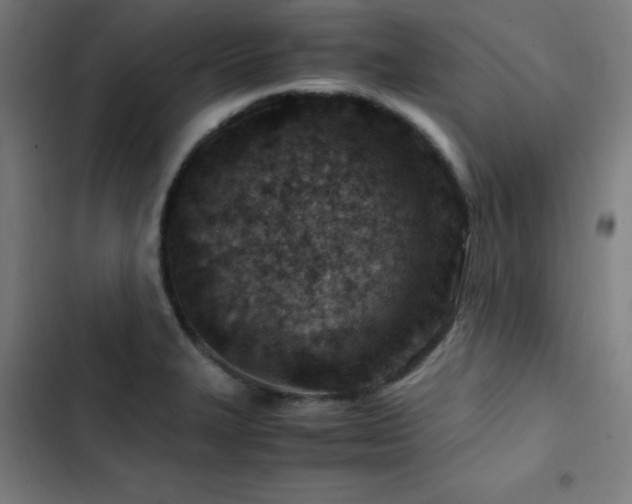 X0000103411327200809121256