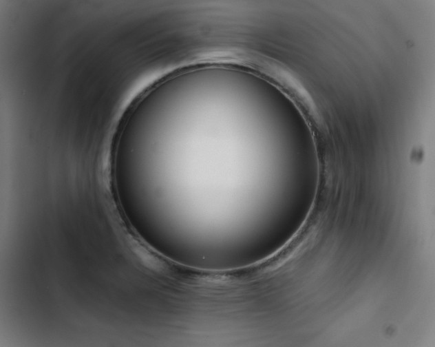 X0000103411328200809121256