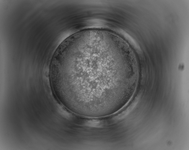X0000103411329200809121256