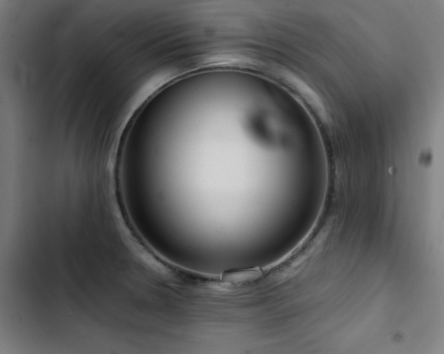X0000103411330200809121256