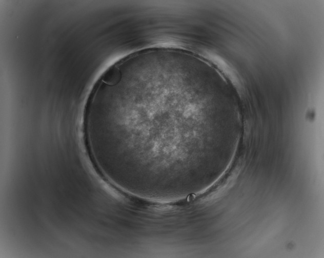 X0000103411331200809121256