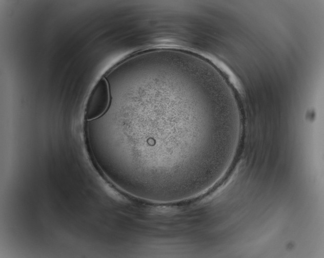 X0000103411333200809121257