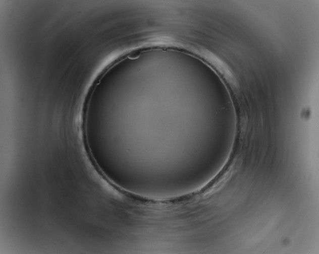 X0000103411334200809121257