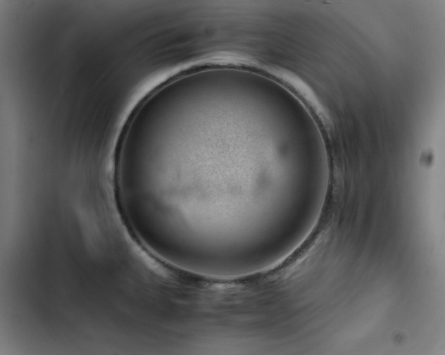 X0000103411335200809121257