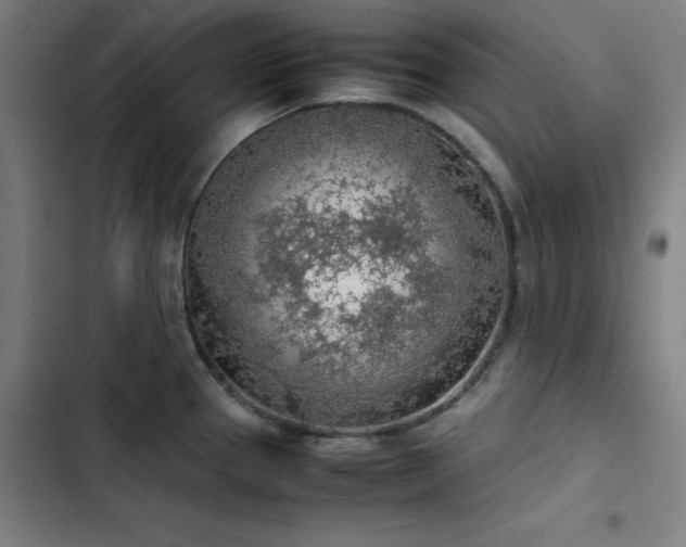 X0000103411337200809121257