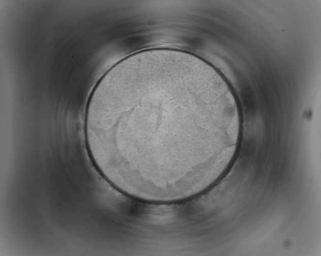 X0000103411338200809121257