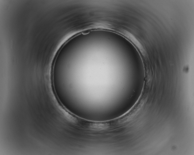X0000103411339200809121257