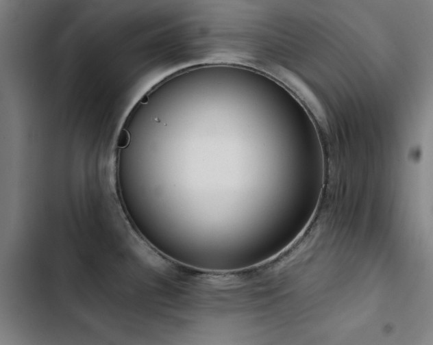 X0000103411340200809121257