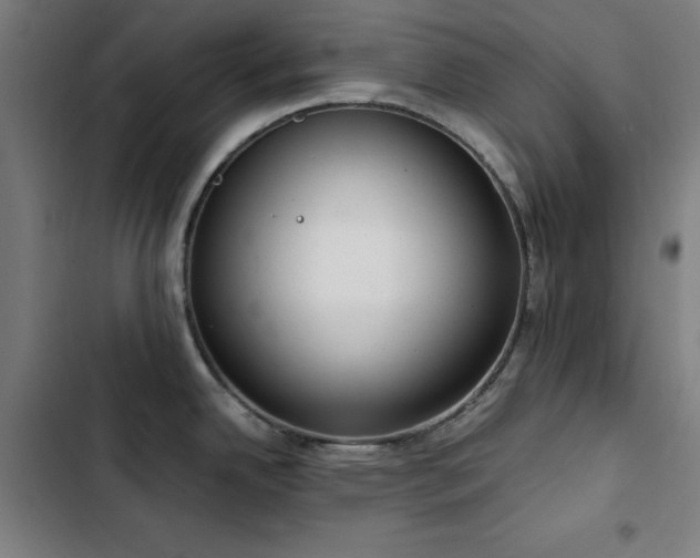 X0000103411342200809121257