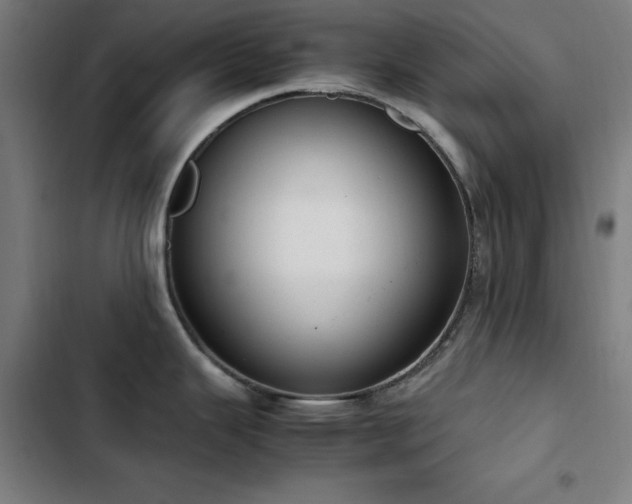X0000103411343200809121257