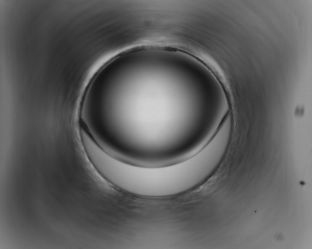 X0000103411344200809121257