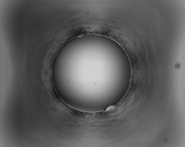 X0000103411345200809121256