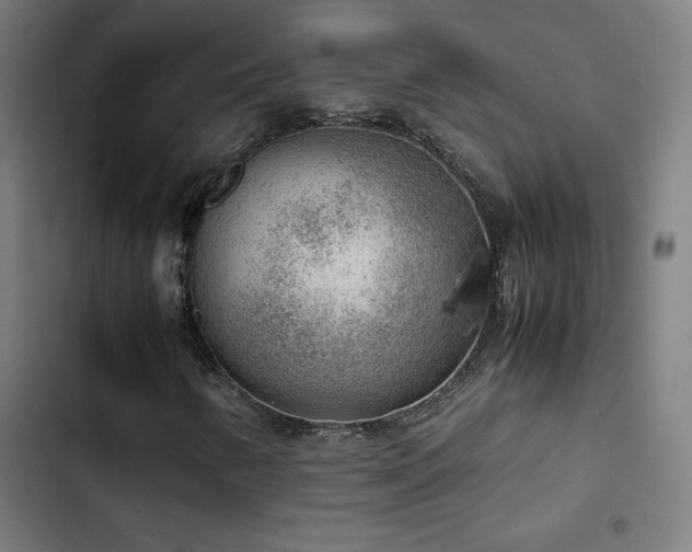 X0000103411346200809121256