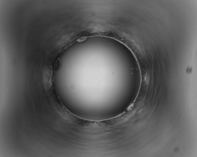 X0000103411348200809121256