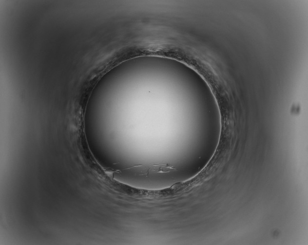X0000103411349200809121256
