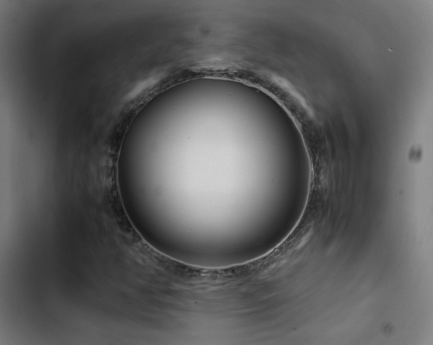 X0000103411350200809121256