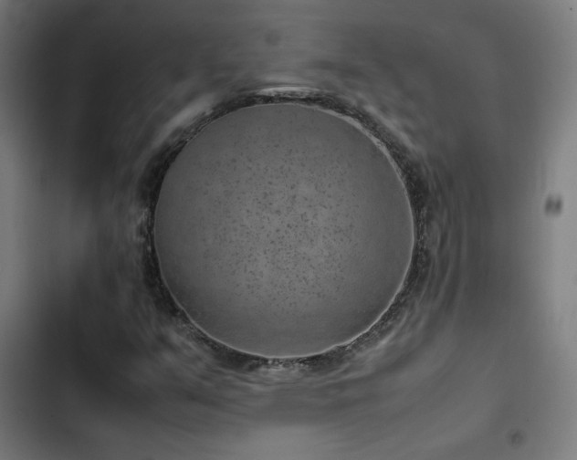 X0000103411351200809121256