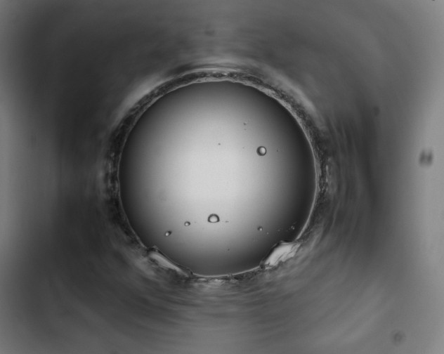 X0000103411352200809121256