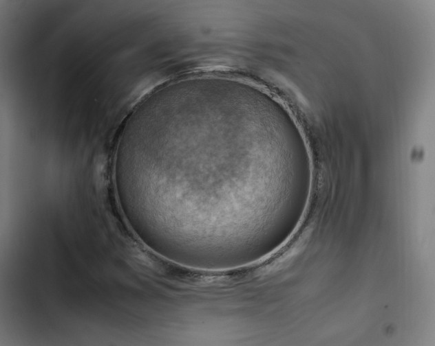 X0000103411353200809121256