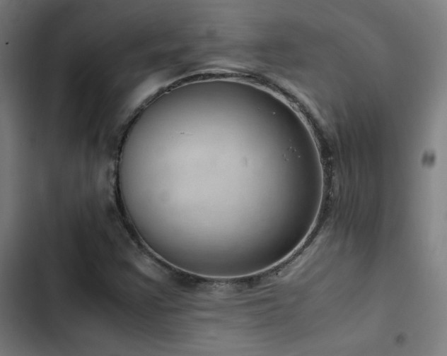 X0000103411355200809121256