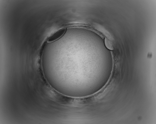 X0000103411357200809121256