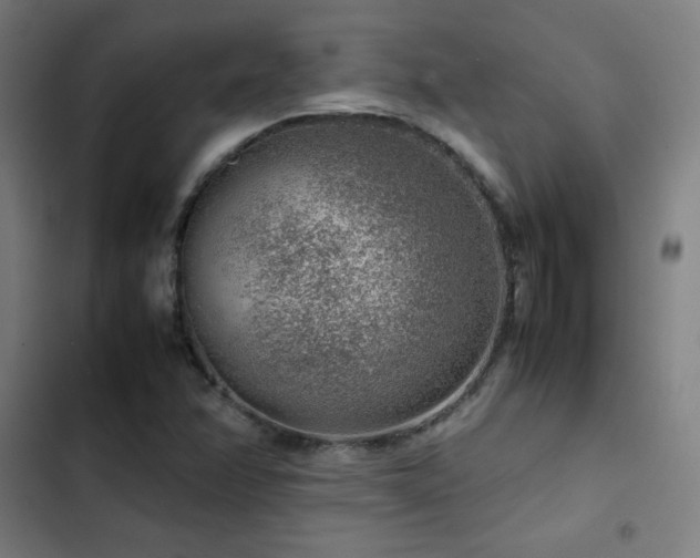 X0000103411358200809121256