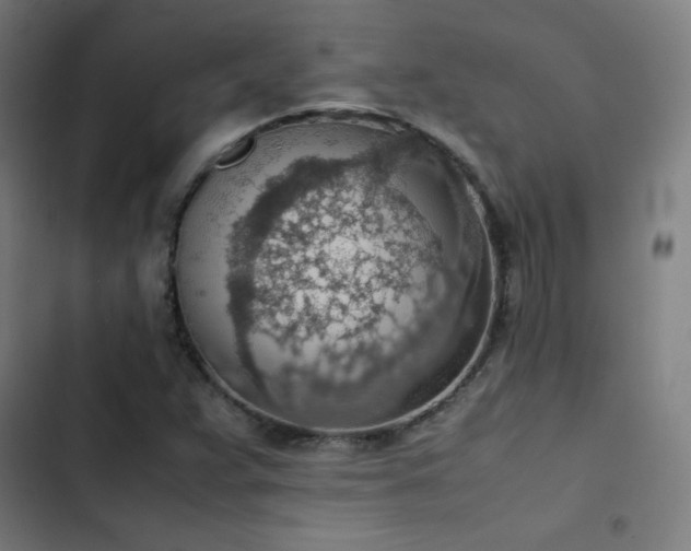 X0000103411359200809121256