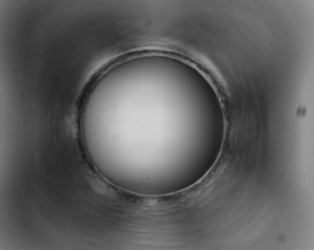 X0000103411360200809121256