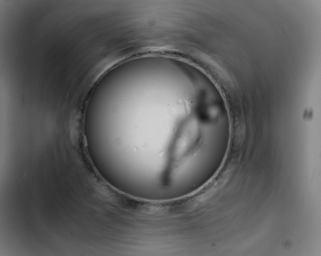X0000103411361200809121256