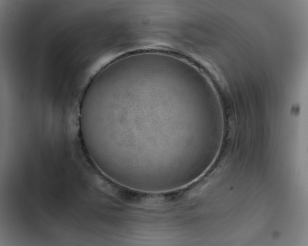 X0000103411363200809121256