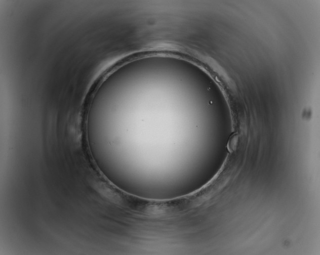 X0000103411364200809121256