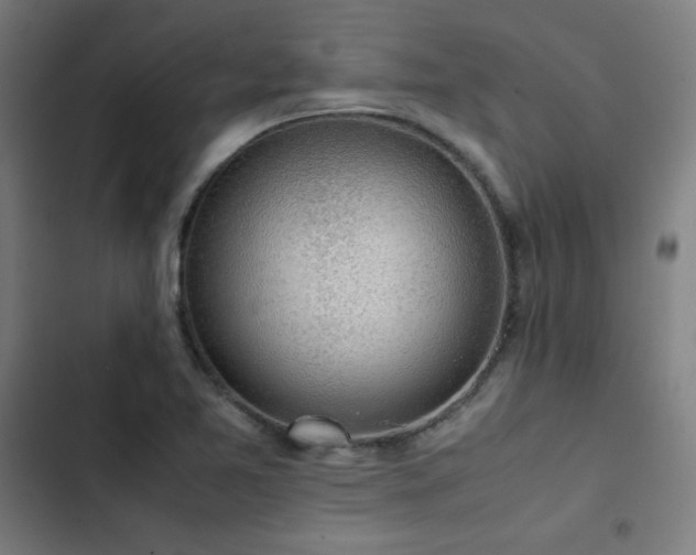 X0000103411365200809121256