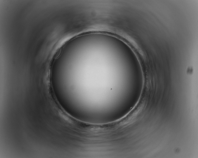 X0000103411366200809121256