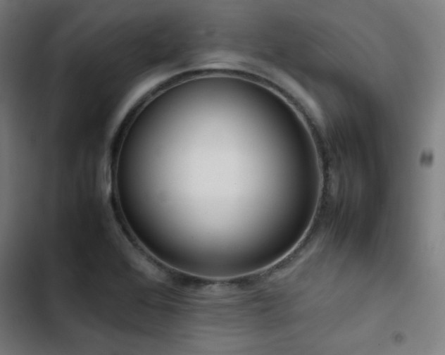 X0000103411368200809121256