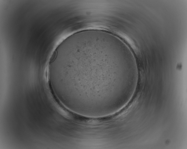 X0000103411371200809121255