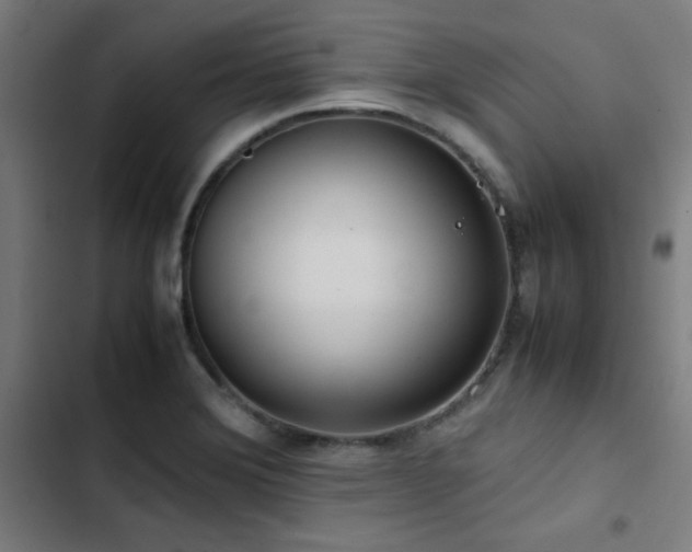 X0000103411372200809121255