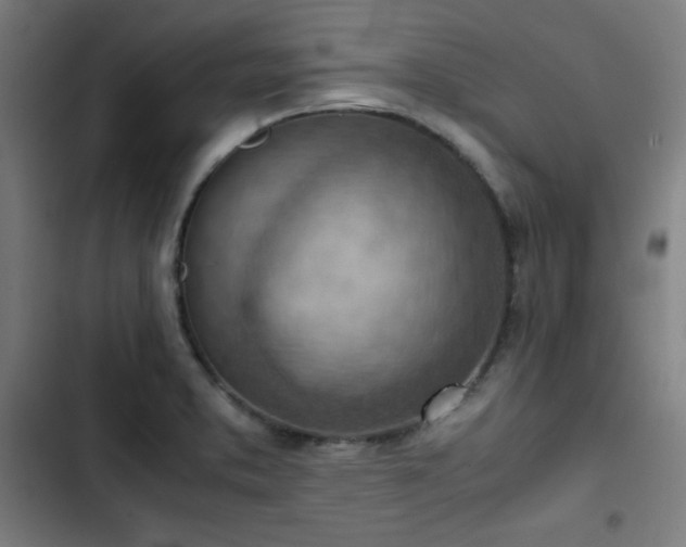 X0000103411373200809121255