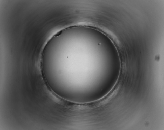 X0000103411374200809121255