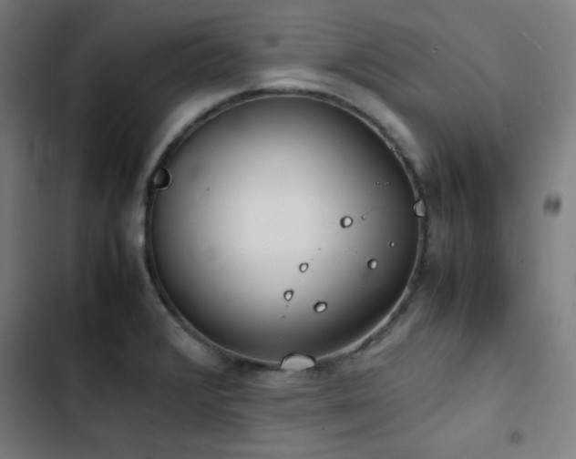 X0000103411376200809121255