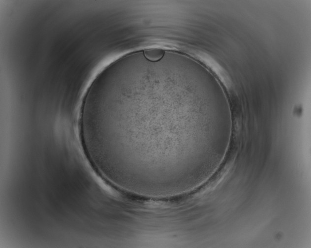 X0000103411379200809121255