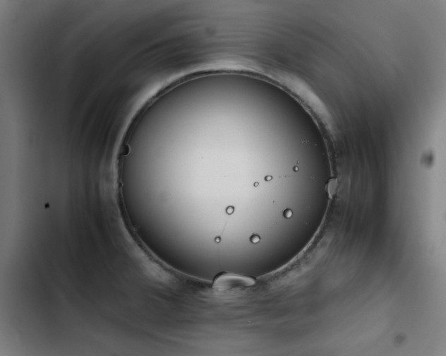 X0000103411380200809121255